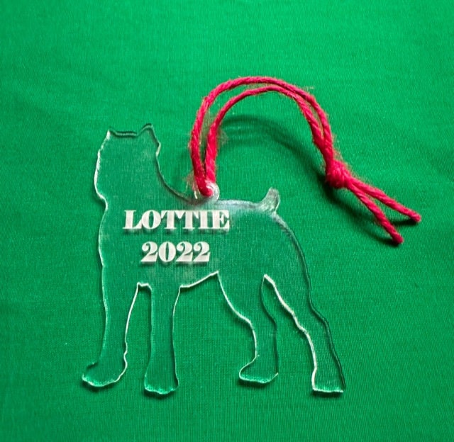 Cane Corso | Full Body | Acrylic | Personalized