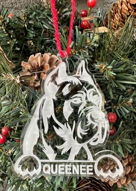 Cane Corso with Paws | Acrylic | Personalized